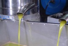 التحقق من 108 موازين في 66 معصرة...