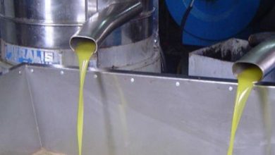 التحقق من 108 موازين في 66 معصرة...