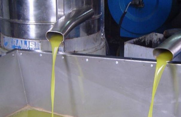 التحقق من 108 موازين في 66 معصرة...