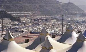 الحج عرفة و60% من حجاجنا ينتقلون بقطار المشاعر والأمير نايف رقم قياسي للحجاج من خارج السعودية