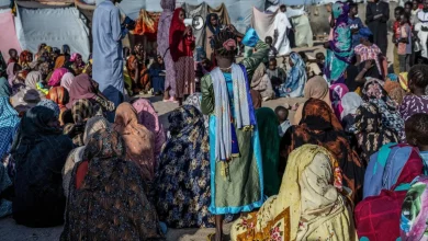 «الدعم السريع» حرقت مئات الجثث في الفاشر