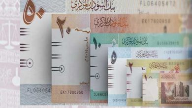 الدولار يواصل الهبوط في مصر إلى مستويات جديدة مقابل الجنيه