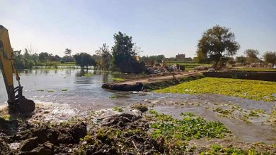 الري: إزالة طريق مخالف بطول 500 متر داخل فرع رشيد بنهر النيل