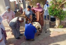 الزراعة تواصل جهود دعم مربي الثروة الحيوانية: 3 قوافل بيطرية مجانية بالقليوبية لدعم صغار المربين