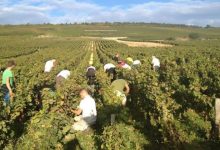 الزراعة: خطة متكاملة لتحسين دخول المزارعين وتنفيذ رؤية مصر 2030