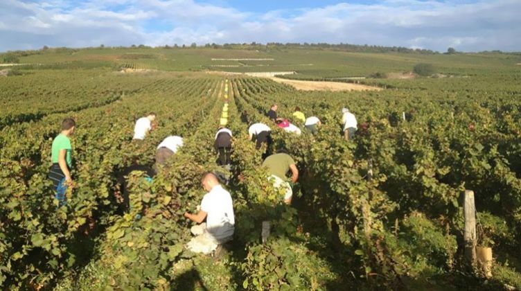 الزراعة: خطة متكاملة لتحسين دخول المزارعين وتنفيذ رؤية مصر 2030