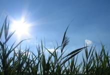 الطقس: الحرارة أعلى من معدلها العام بحدود 8 درجات مئوية