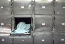 العثور على جثة ثلاثيني في الكرك.. والأمن يحقق...