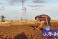 الفلاحة تترقب تساقط الأمطار