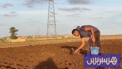الفلاحة تترقب تساقط الأمطار