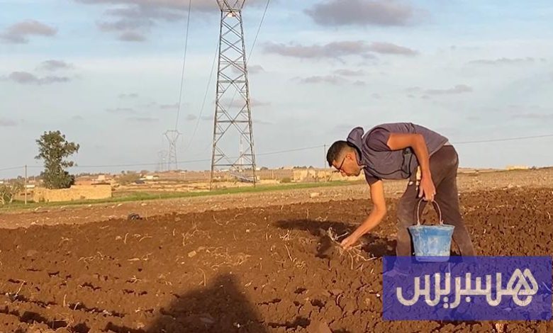 الفلاحة تترقب تساقط الأمطار