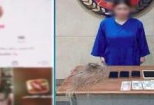 القبض على صانعة محتوى لنشرها فيديوهات رقص خادشة للحياء بالهرم