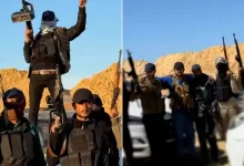 المجموعات العميلة المسلحة في قطاع غزة.. إلى أين؟