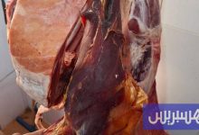 المراقبة تحبط تسويق لحم فاسد بمرتيل