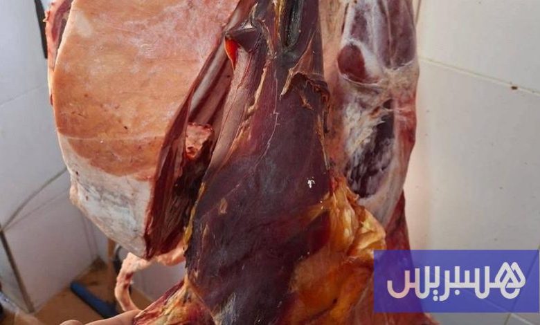 المراقبة تحبط تسويق لحم فاسد بمرتيل