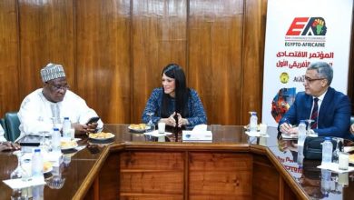 المشاط: العمل الأفريقي المشترك السبيل الوحيد لمواجهة التحديات والصراعات