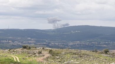 المنسقة الأممية تدعو لبنان لاتخاذ قرار حاسم بشأن السلاح والحوار