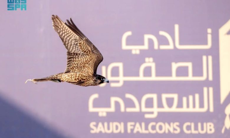 المنطقة الشرقية تستضيف كأس نادي الصقور السعودي 2025