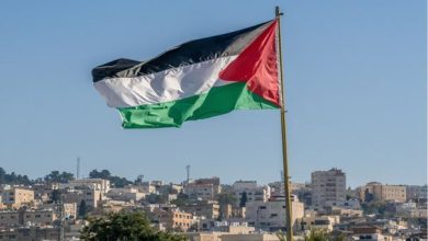 اليوم العالمي للتضامن مع الشعب الفلسطيني...