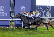 بمشاركة 94 خيلاً.. مضمار أبوظبي يستضيف الأمسية الـ3 لسباقات الخيل غداً