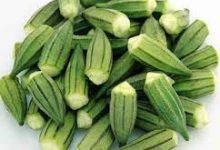 تبلغ 60 جنيها.. شعبة الخضروات توضح أسباب ارتفاع سعر البامية