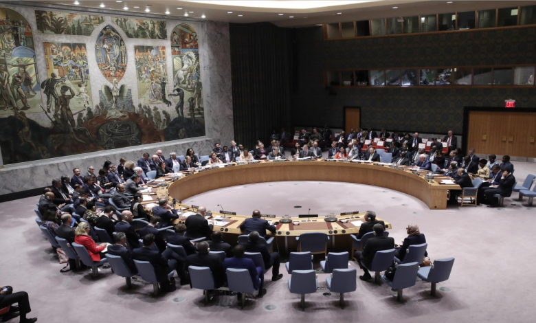 تحركات دولية لإصدار قرار من مجلس الأمن يؤيد خطة ترامب للسلام في غزة