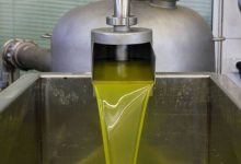 تراجع إنتاج زيت الزيتون الموسم الحالي...