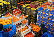 تصديري الصناعات الغذائية: مصر تصدر غذاء بـ11 مليار دولار سنويا