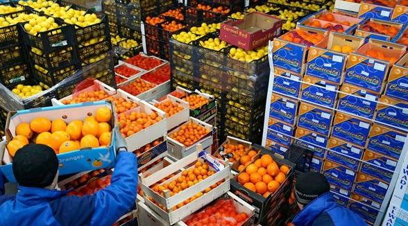 تصديري الصناعات الغذائية: مصر تصدر غذاء بـ11 مليار دولار سنويا