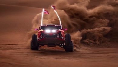 تعرف على جدول فعاليات مهرجان ليوا الدولي 2026