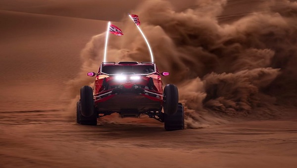 تعرف على جدول فعاليات مهرجان ليوا الدولي 2026