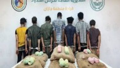 حرس الحدود بجازان يقبض على 7 يمنيين لتهريبهم 120 كيلوجرامًا من القات المخدر