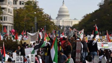 خبير إسرائيلي يوضح أسباب تصاعد العداء للاحتلال لدى الجيل الشاب في الولايات المتحدة