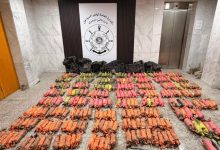  «خفر السواحل»: ضبط كمية كبيرة من المخدرات والمؤثرات العقلية فـي قـاع الـبحـر