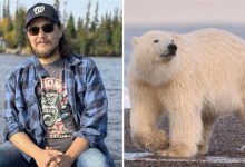 دببة تفتك بموظف رادارات في القطب الشمالي