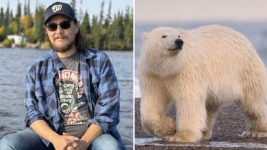 دببة تفتك بموظف رادارات في القطب الشمالي