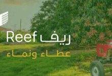 دعم ريف يوضح الإجراء المتخذ في حالة إن قام أحد تقديم معلومة مضللة