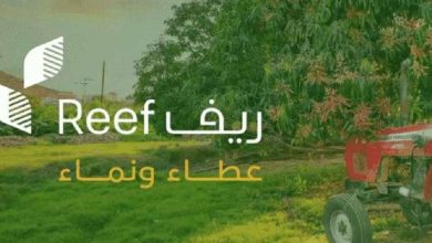 دعم ريف يوضح الإجراء المتخذ في حالة إن قام أحد تقديم معلومة مضللة