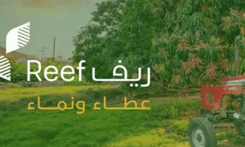 دعم ريف يوضح الإجراء المتخذ في حالة إن قام أحد تقديم معلومة مضللة