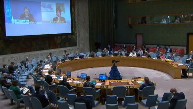 دول عربية وإسلامية تدعو لدعم مشروع واشنطن حول غزة بمجلس الامن