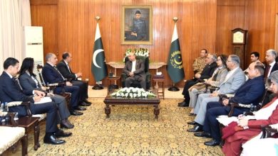 رئيس باكستان يدعو إلى تعزيز العلاقات بين إسلام آباد والقاهرة