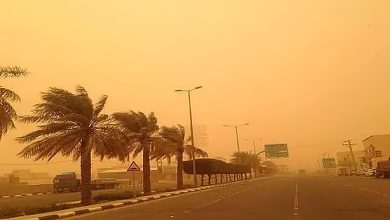 رياح نشطة وأتربة مثارة على منطقة نجران ومحافظة العقيق