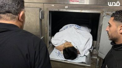 شهيد في نابلس وهجمات واسعة للمستوطنين في الضفة 