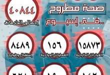 صحة مطروح: تقديم أكثر من 40 ألف خدمة طبية وإجراء 156 عملية جراحية خلال أسبوع
