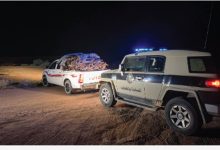 ضبط مواطن بحوزته حطب محلي معروض للبيع في منطقة حائل