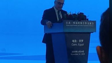 عام 2025 يحمل أعلى استثمارات صينية في قناة السويس.. رئيس الهيئة يكشف التفاصيل