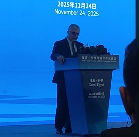 عام 2025 يحمل أعلى استثمارات صينية في قناة السويس.. رئيس الهيئة يكشف التفاصيل