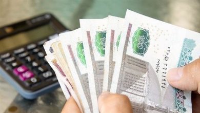 عميد اقتصاد وعلوم سياسية الأسبق: التحول إلى الدعم النقدي سيرفع الأسعار أكثر.. والناس يفضلون العيني