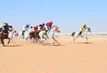 فروسية الأحساء تقيم حفل سباقها الخامس
