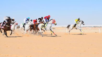 فروسية الأحساء تقيم حفل سباقها الخامس